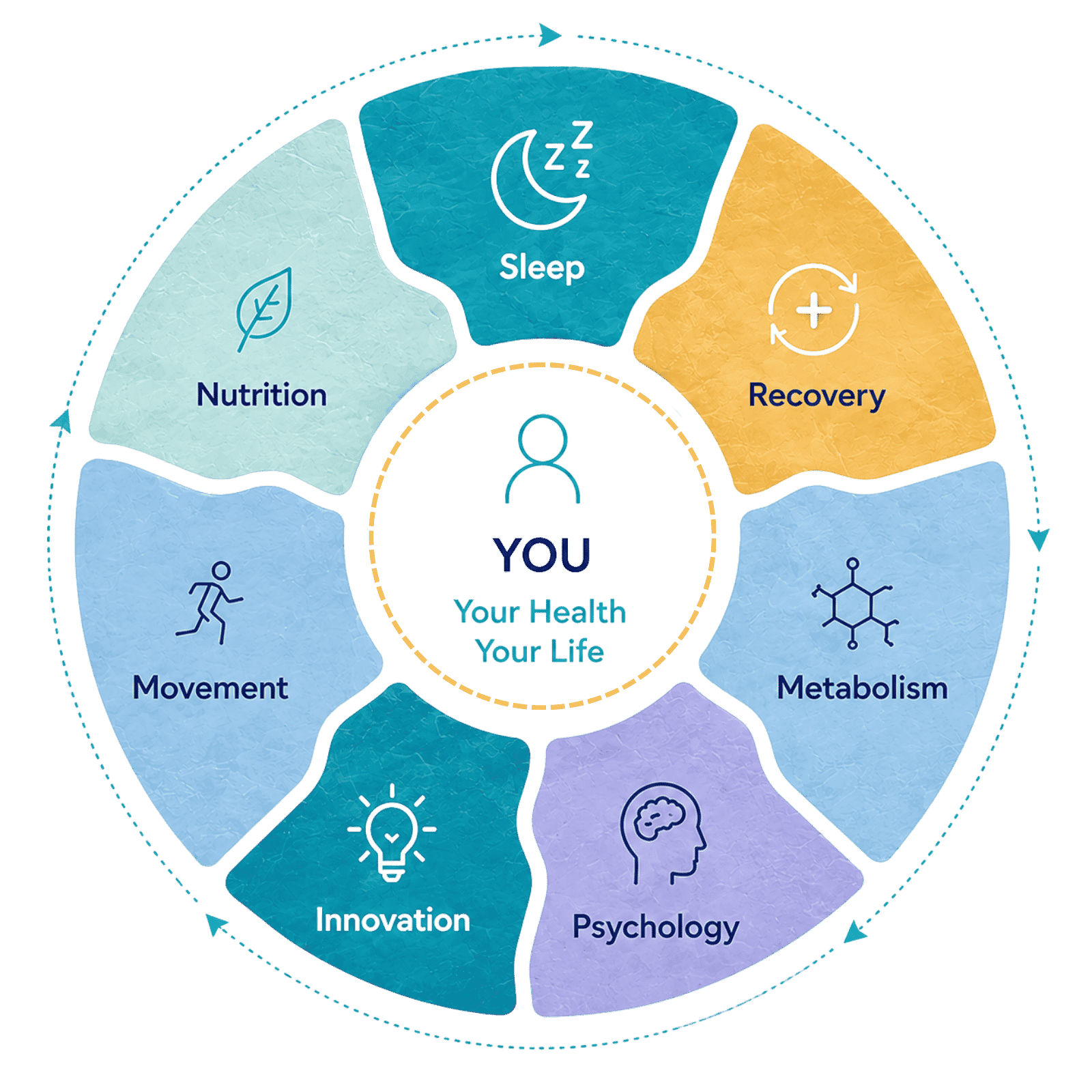Your Health Your Life diagram