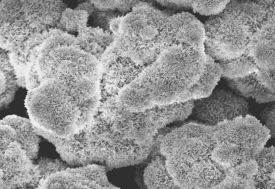 Dual Vector™ under the SEM
